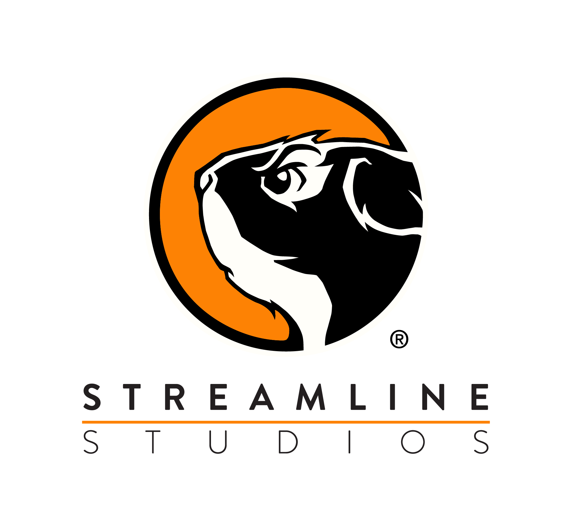 https://cdn.snapshot-site.fr/images/brands/streamline.png